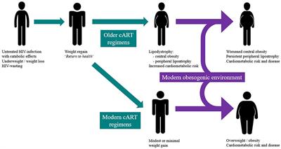 The Impact of Weight Gain During HIV Treatment on Risk of Pre-diabetes, Diabetes Mellitus, Cardiovascular Disease, and Mortality